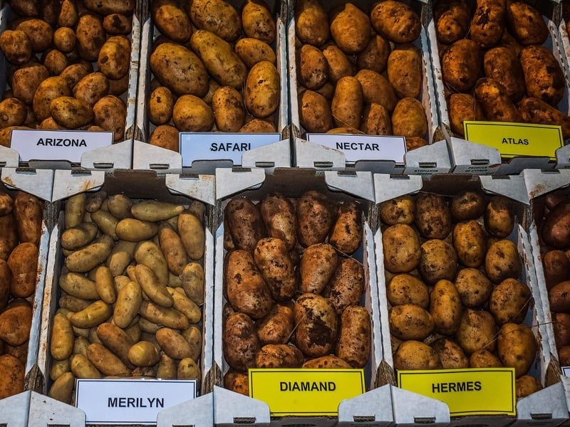 Vegetable Varieties
