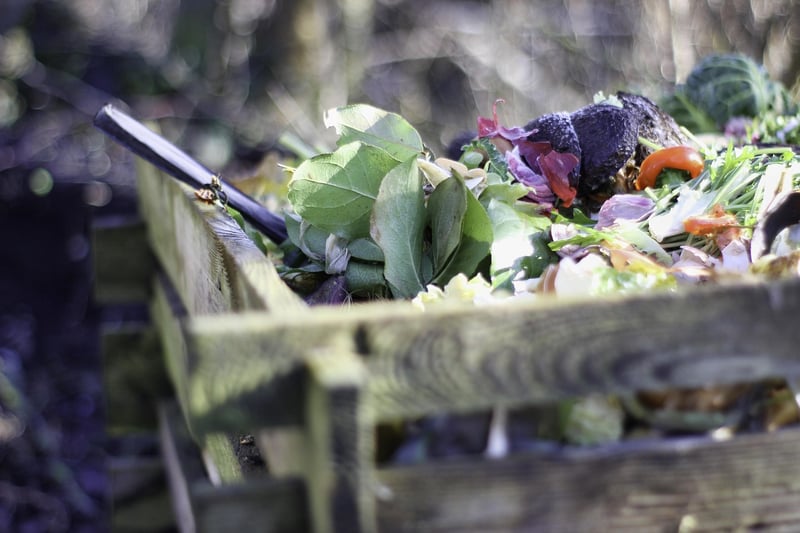 Compost Bin