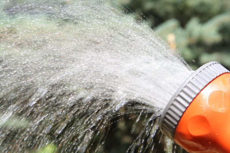 Drip Irrigation System